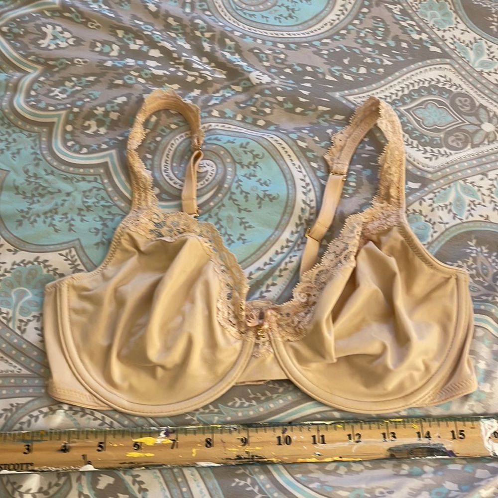 Elegant Lace Trimmed Bra in Cream